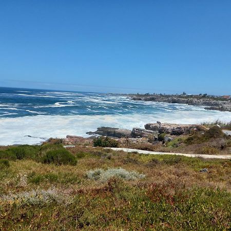 The Sun, Whales & Waves - Seafront Apartment Hermanus Bagian luar foto