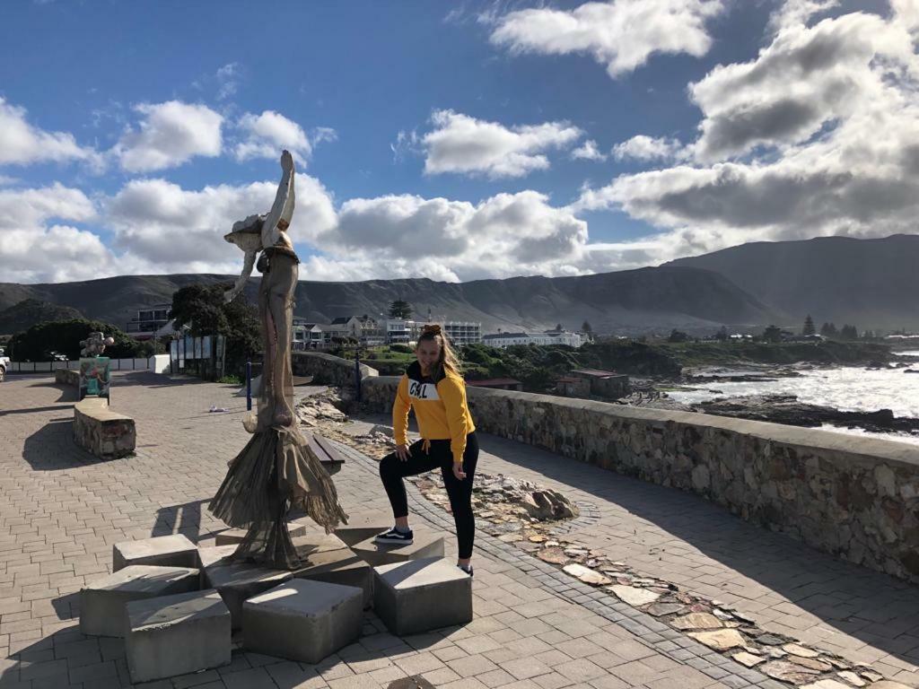 The Sun, Whales & Waves - Seafront Apartment Hermanus Bagian luar foto