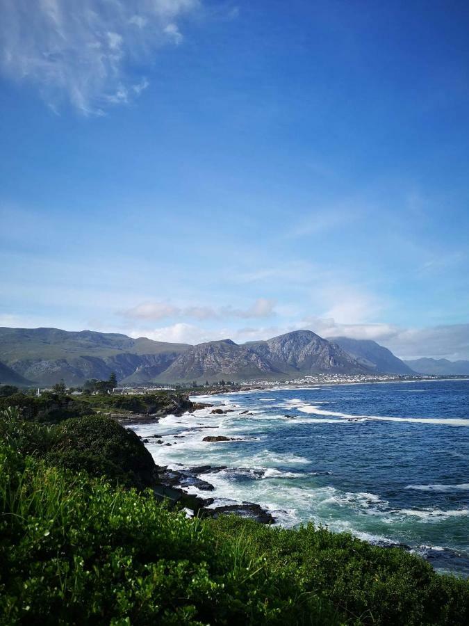 The Sun, Whales & Waves - Seafront Apartment Hermanus Bagian luar foto