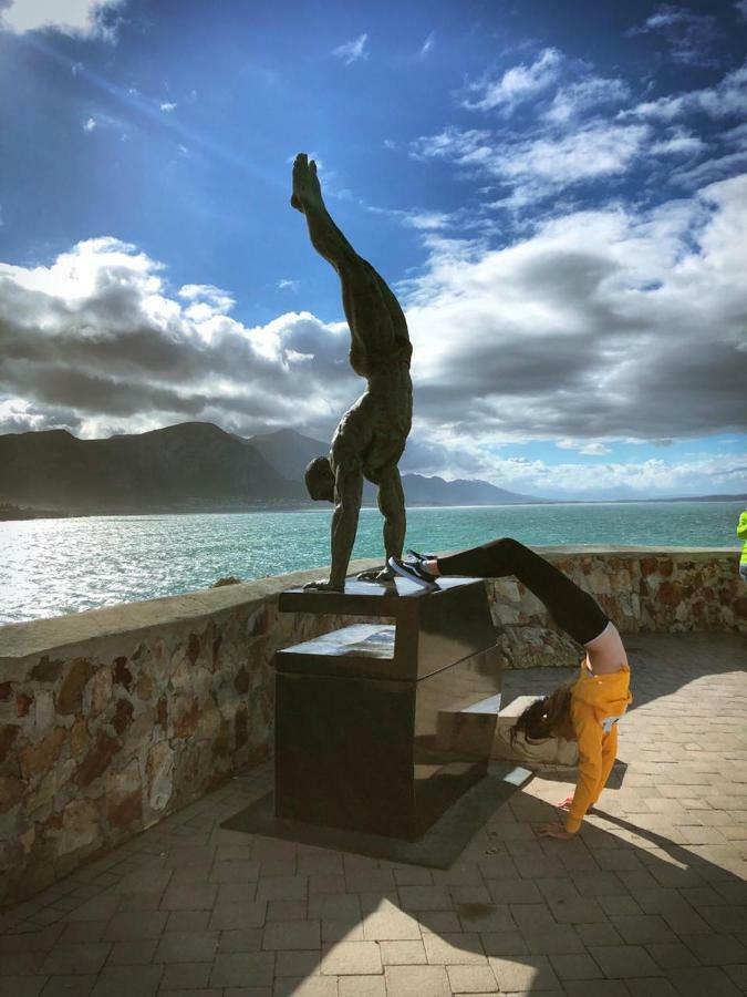 The Sun, Whales & Waves - Seafront Apartment Hermanus Bagian luar foto